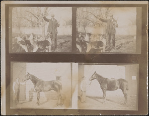 Man with several hunting dogs and man with a horse