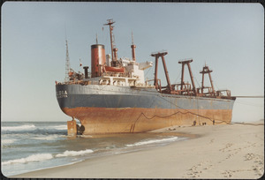 Eldia aground on the outer beach