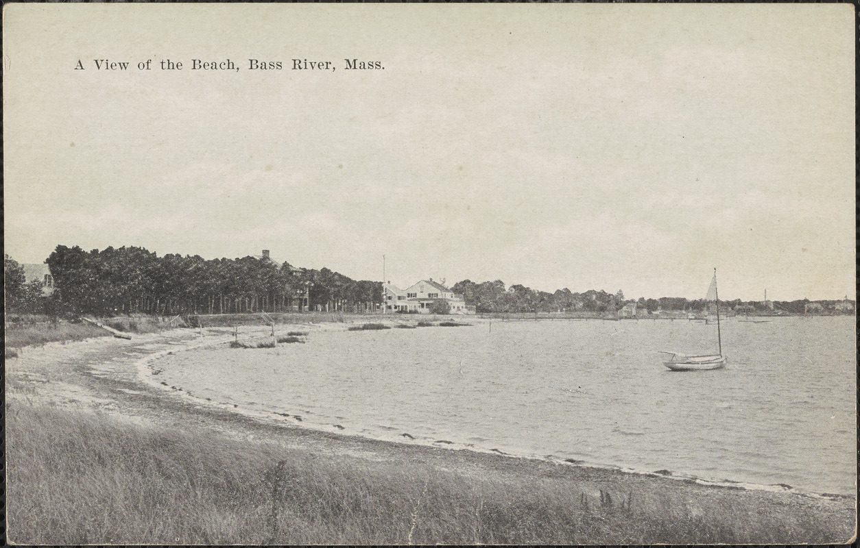 A view of the beach, Bass River, Mass.