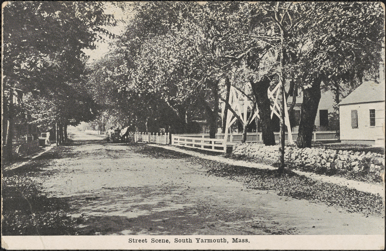 Willow Street scene, South Yarmouth, Mass.