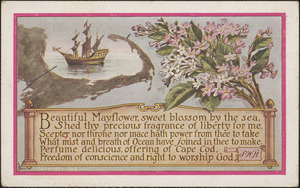 Poem about the beautiful mayflower by S. W. H.