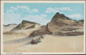 Cape Cod sand dunes