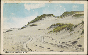 Cape Cod sand dunes