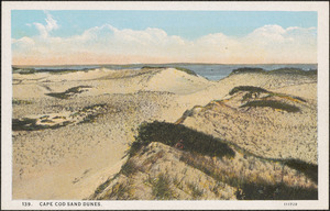 Cape Cod sand dunes