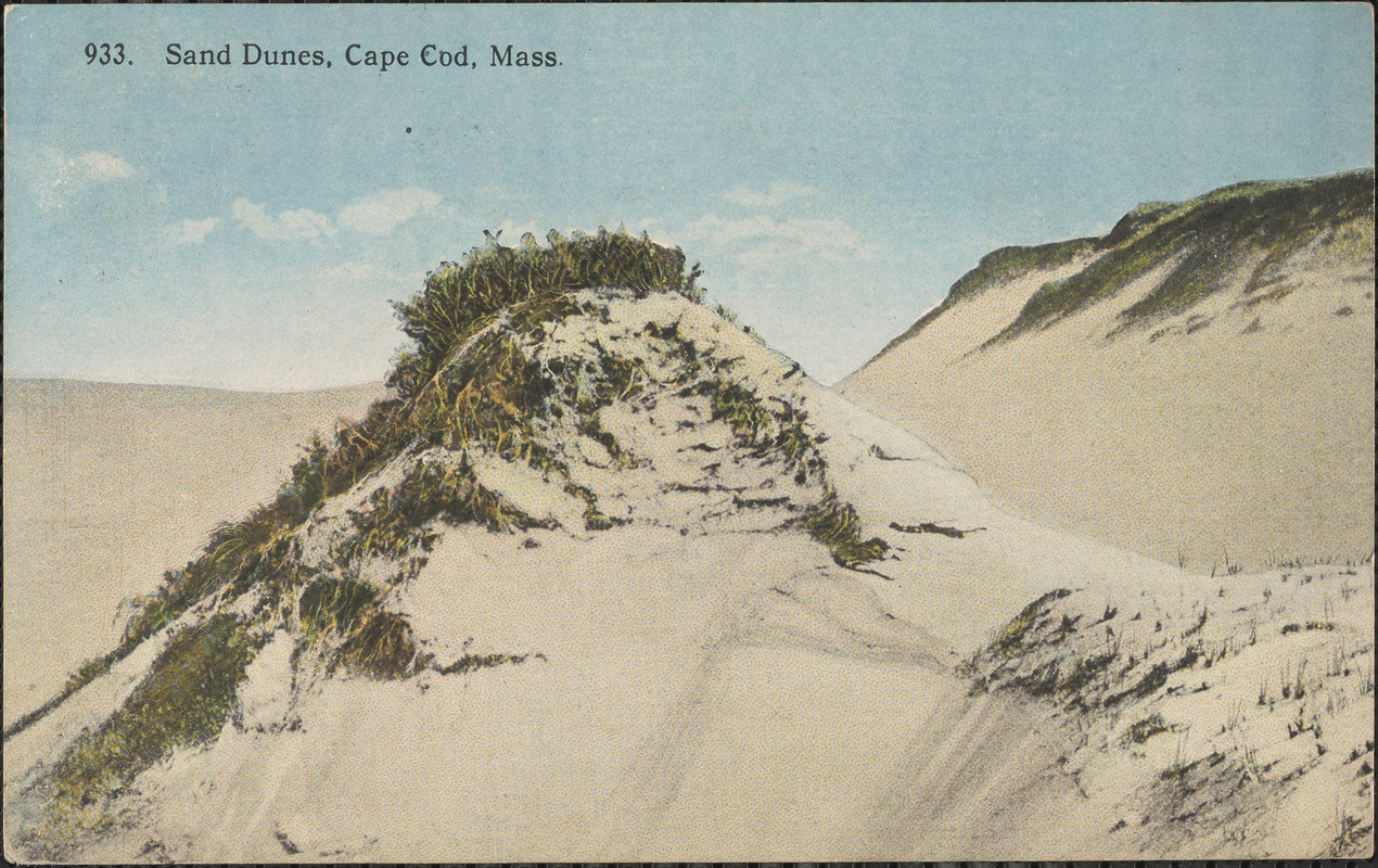 Cape Cod sand dunes - Digital Commonwealth