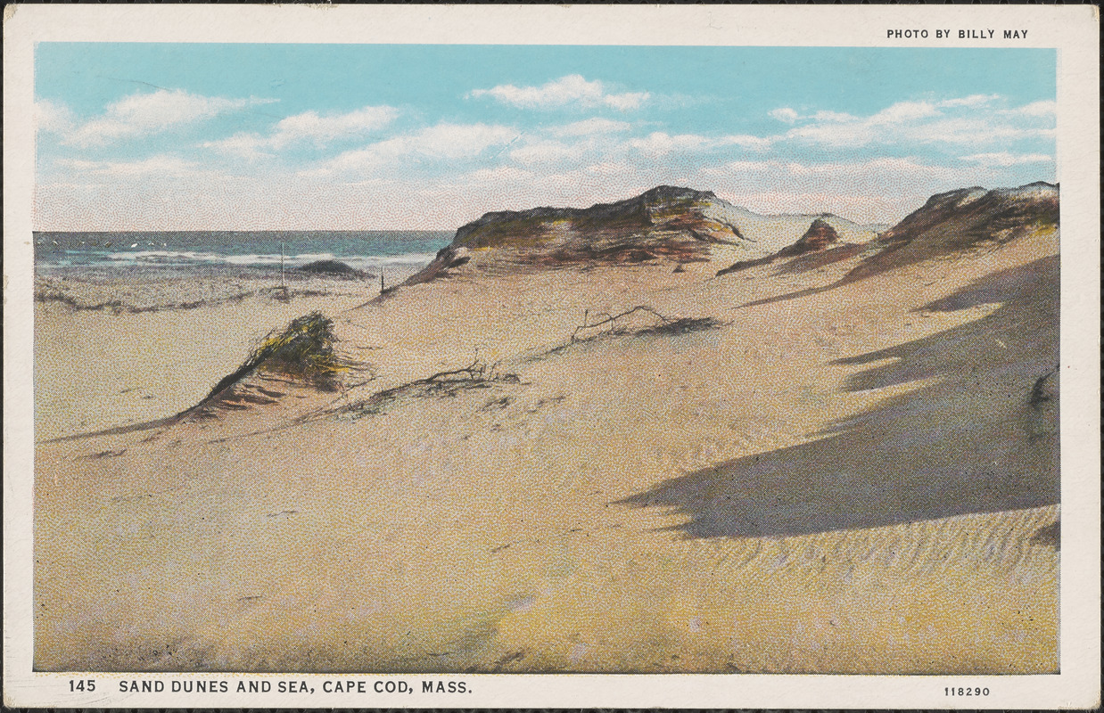 Cape Cod sand dunes - Digital Commonwealth