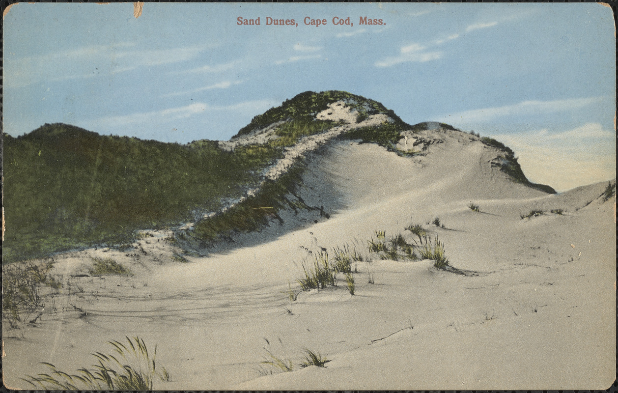 Cape Cod sand dunes