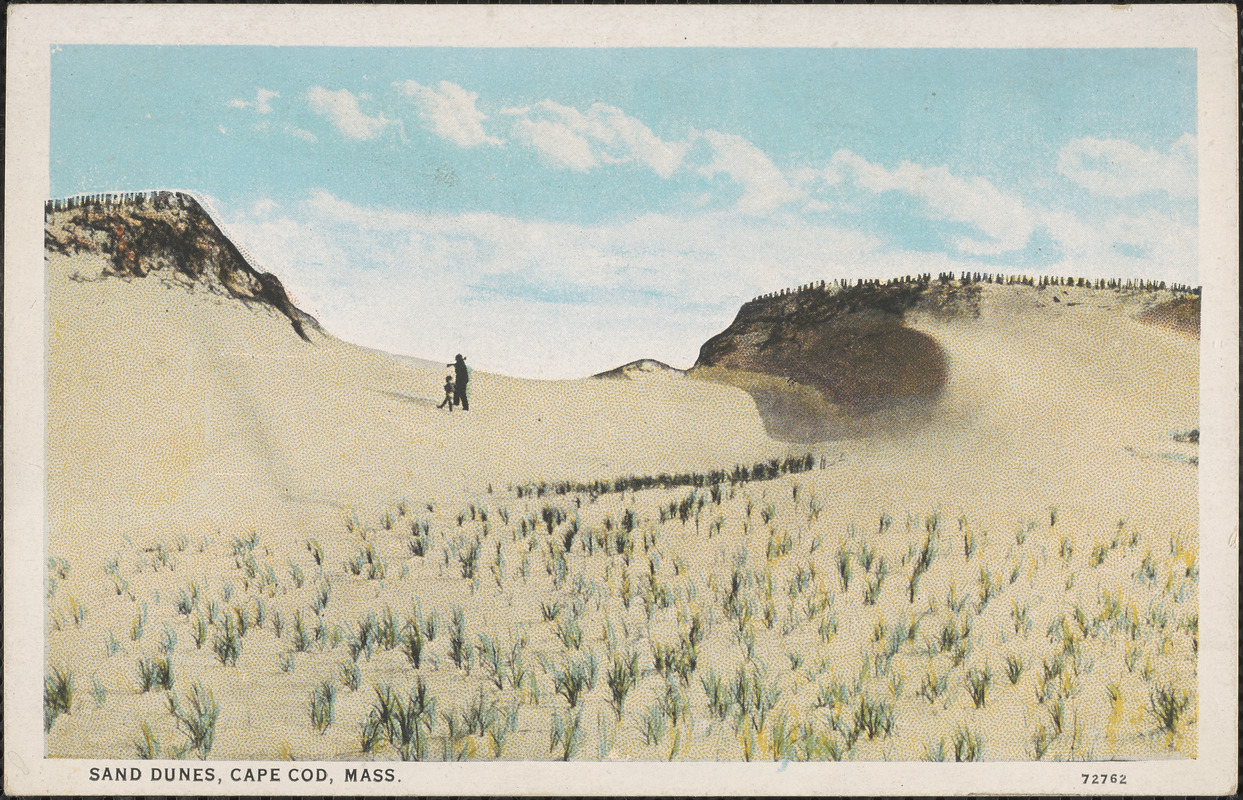 Cape Cod sand dunes