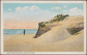 Sand dunes and sea, Cape Cod, Mass.