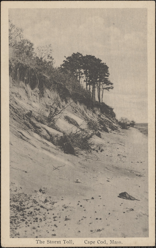 Storm toll, Cape Cod, Mass.