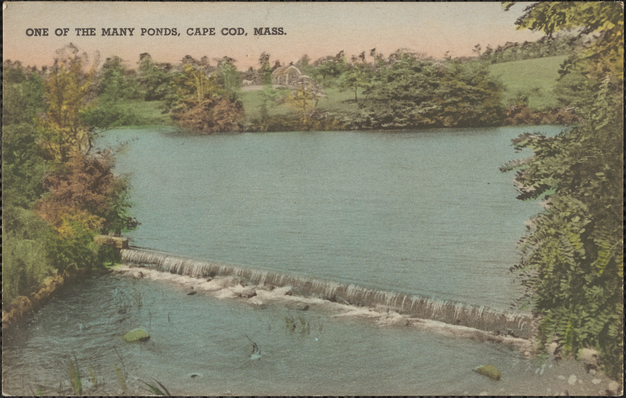 One of the many ponds, Cape Cod, Mass.