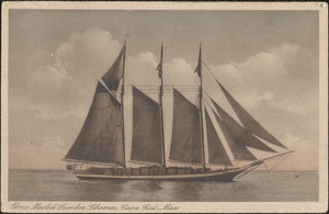 Three masted lumber schooner, Cape Cod, Mass.