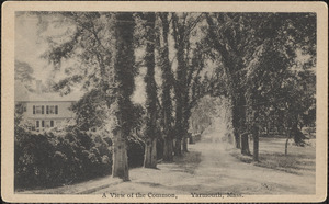 View of the common, Yarmouth Port, Mass.