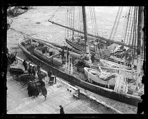Ice covered boats at pier
