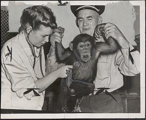 Photogenic vet and photogenic chimp