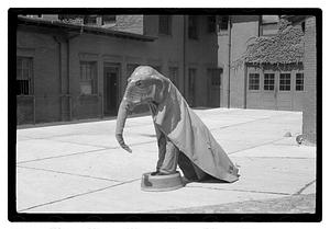 Boston Park Department Circus