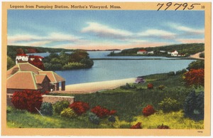 Lagoon from Pumping Station, Martha's Vineyard, Mass.