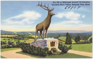 The Elk at Whitcomb Summit overlooking Deerfield River Valley, Mohawk Trail, Mass.