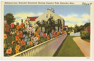 Hollyhock Lane, Nantucket Homestead, showing Captain's Walk, Nantucket, Mass.