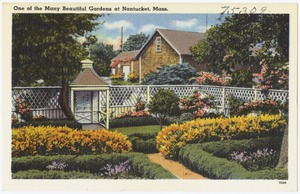 One of the many beautiful gardens at Nantucket, Mass.