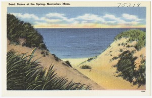 Sand dunes at the spring, Nantucket, Mass.