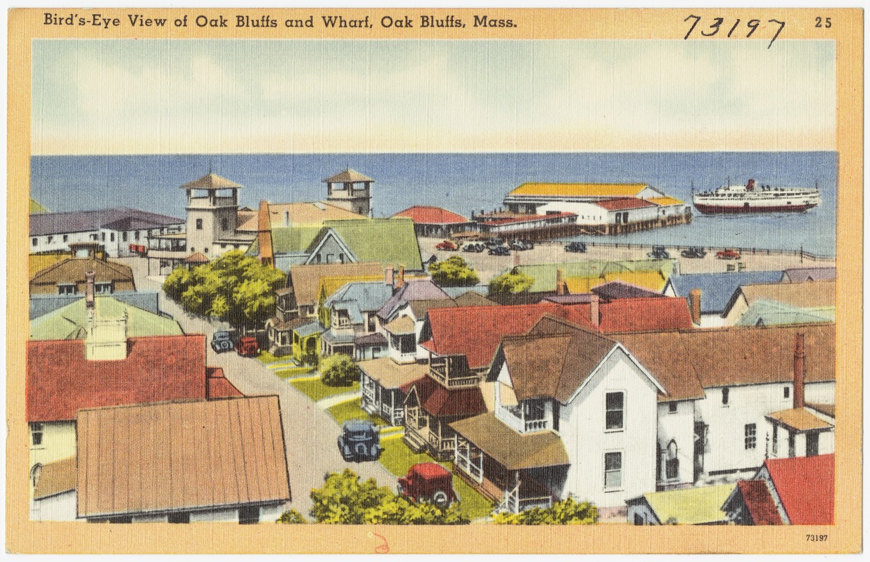Bird's-eye view of Oak Bluffs and Wharf, Oak Bluffs, Mass.