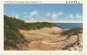 Sand dunes, overlooking ocean, Avalon, N. J.