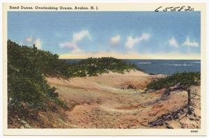 Sand dunes, overlooking ocean, Avalon, N. J.