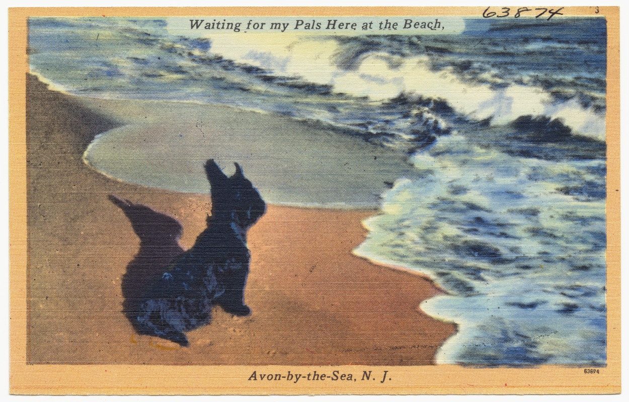 Waiting for my pals here at the beach, Avon-by-the-Sea, N. J.