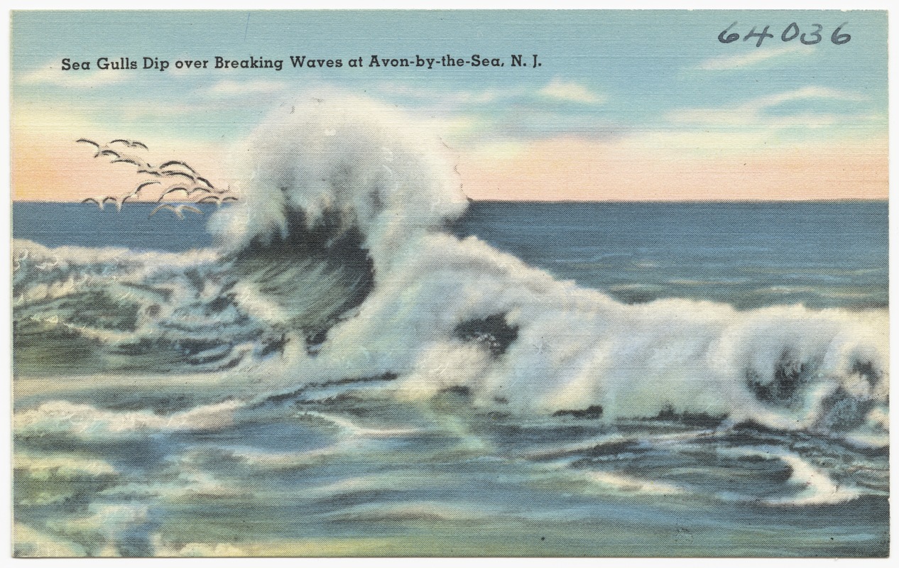 Sea gulls dip over breaking waves at Avon-by-the-Sea, N. J.