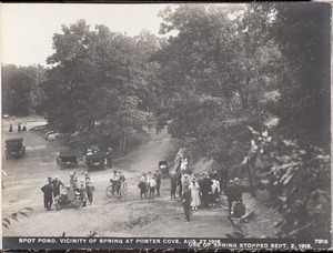 Distribution Department, Low Service Spot Pond Reservoir, vicinity of spring at Porter Cove; use of spring stopped, Stoneham, Mass., Aug. 27, 1916