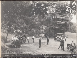 Distribution Department, Low Service Spot Pond Reservoir, vicinity of spring at Porter Cove; use of spring stopped, Stoneham, Mass., Aug. 27, 1916