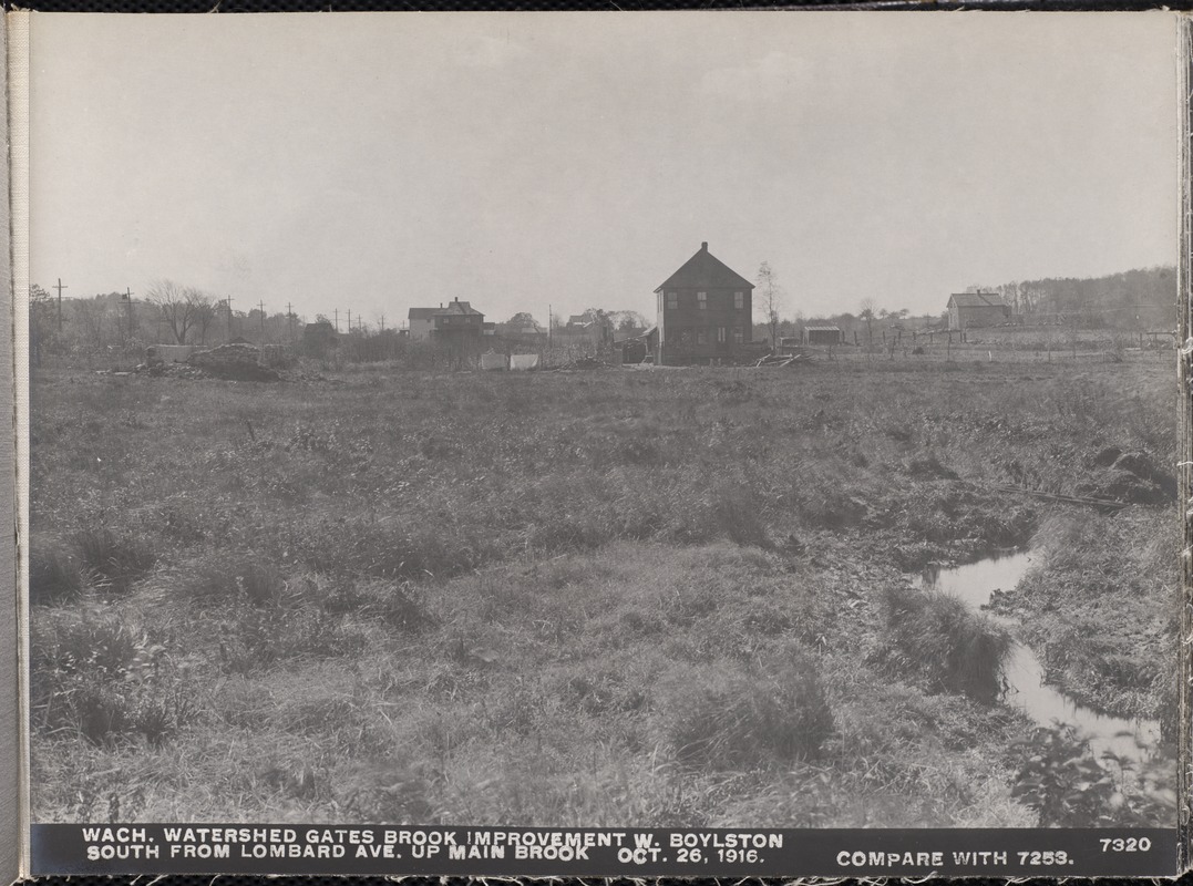 Wachusett Department, Wachusett Watershed, Gates Brook Improvement, south from Lombard Avenue up main brook (compare with No. 7253), West Boylston, Mass., Oct. 26, 1916