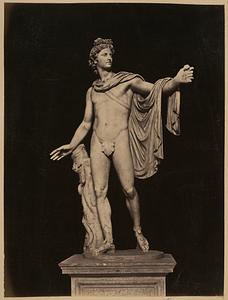 Apollo Belvidere [i.e. Belvedere] - Vatican
