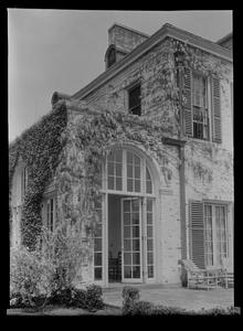 Wisteria in corner of house at Mrs. McGinley's