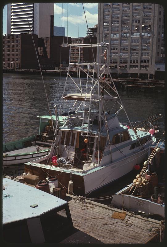 Docked boats, buildings in background