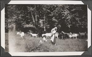 A woman holding a goat, a herd of goats behind her
