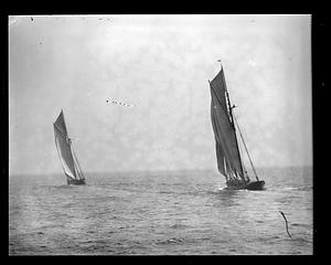 Fishing schooner race