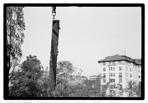 Tree removal