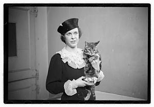 Cat show