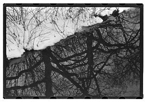 Snow pictures - Fenway