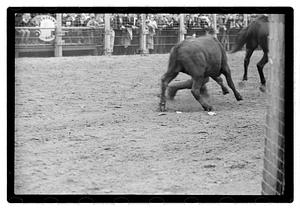 Brockton Fair