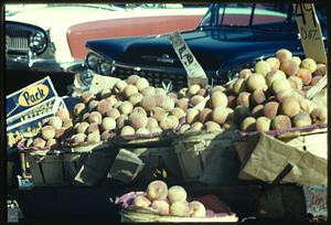 Peaches for sale at market, Boston