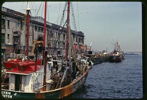 Red masts