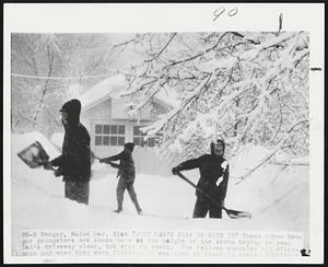 Bangor, Maine. "Just Can't Keep Up With It" These three Bangor youngsters are shown here at the height of the storm trying to keep Dad's driveway clear, but with no avail. The fellows shoveled all afternoon and when they were finished it was time to start in again.