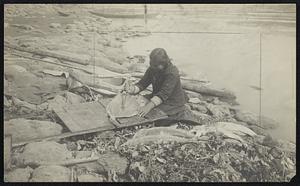 Indian woman preparing fish for drying.