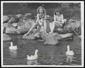 Fooling The Ducks - Between 80-degree temperatures and girls in bathing suits the ducks in Rock Creek Park, Washington, D.C., couldn't decide whether it was July or November. Girls are Shirley Shull (left) and Mary Halpin.