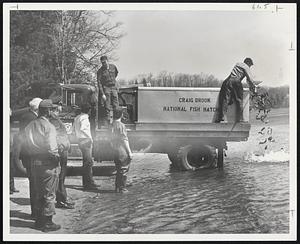 Fort Devens, Massachusetts. Stocking of fish on the Fort Devens reservation by the Fish and Wildlife Division of Engineers on 13 April 1971