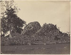 Prambanan bij Jogjakarta