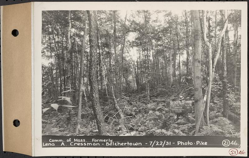 Contract No. 21, Portion of Ware-Belchertown Highway, Ware and Belchertown, land of the Commonwealth of Massachusetts, formerly of Lena A. Cressman, Plan No. S-4, Belchertown, Mass., Jul. 22, 1931